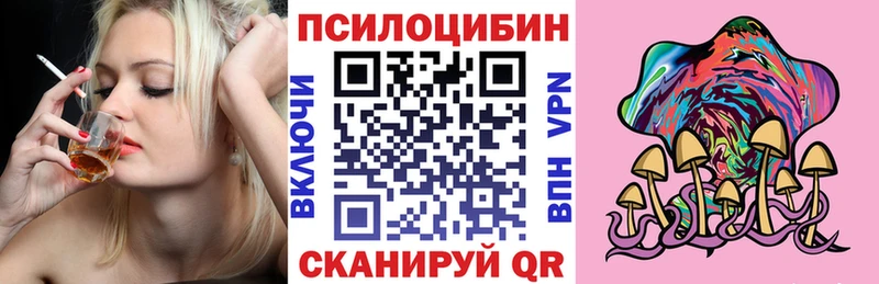 цены наркотик  ОМГ ОМГ ссылка  Псилоцибиновые грибы Psilocybe  Дальнегорск 